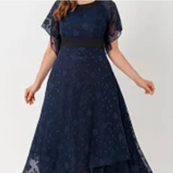 Flycurvy Mother Of The Bride Navy Chiffon Embroidery Maxi Size 3X 22/24 NWT - Picture 1 of 10